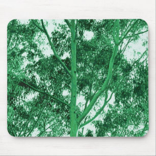 Eucalyptus Tree-fotoschildermousepad Muismat