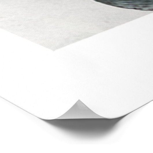 EUCALYPTUS TWIGS NO1, POSTER (Coin)