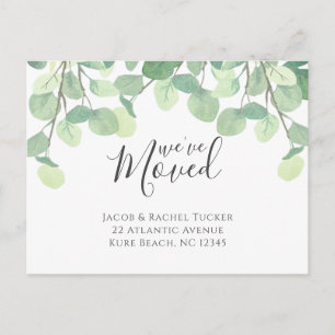 Eucalyptus We hebben een bewegende aankondiging Briefkaart