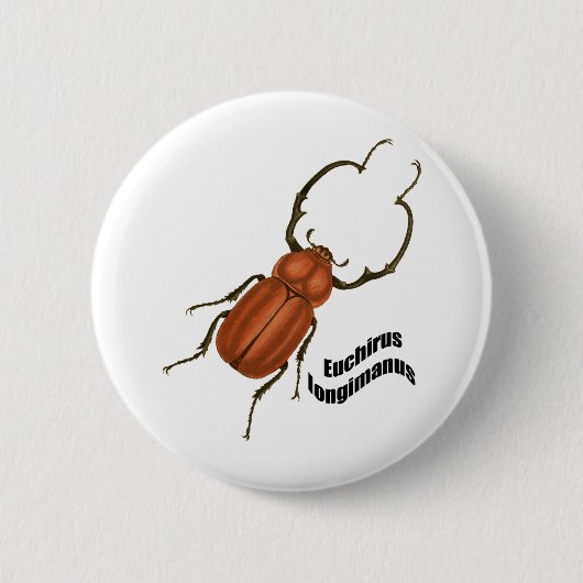 Euchirus longimanis ronde button 5,7 cm (Voorkant)