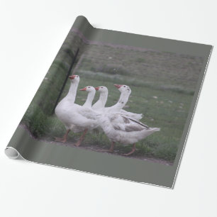 Euck Wrapping Paper Cadeaupapier
