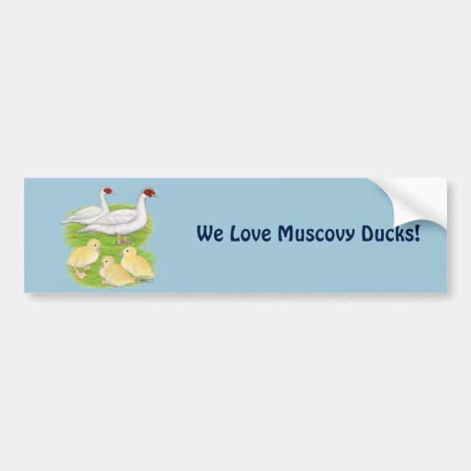 Eucks White Muscovy Family Bumpersticker (Voorkant)