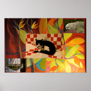 Euclids droom poster