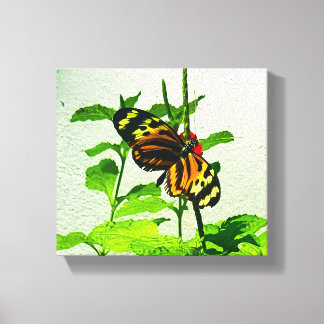 Eueides Isabella Canvas Afdruk