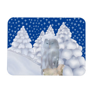 Eule im Schnee Magneet
