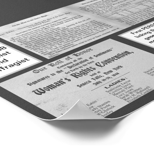 Eunice Newton Foote Climate Change Scientist Poster (Hoek)