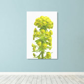 Euphorbia Canvas Afdruk (Insitu (Houten vloer))