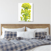Euphorbia Canvas Afdruk (Insitu (Slaapkamer))