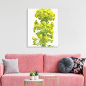 Euphorbia Canvas Afdruk (Insitu (Woonkamer))