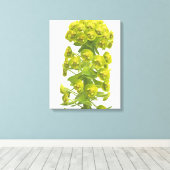 Euphorbia Canvas Afdruk (Insitu (Houten vloer))