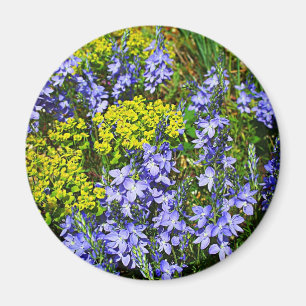 Euphorbia en Veronica Magneet