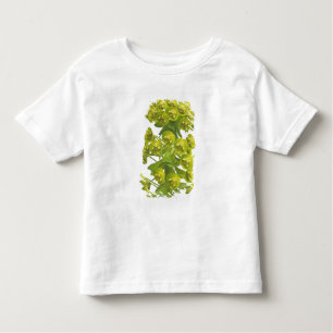 Euphorbia Kinder Shirts