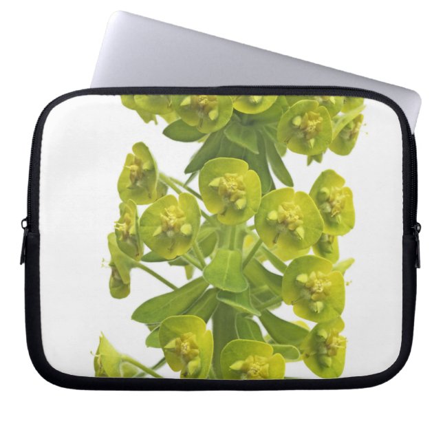 Euphorbia Laptop Sleeve (Voorkant)