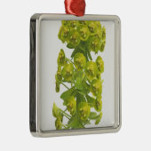 Euphorbia Metalen Ornament (Rechts)