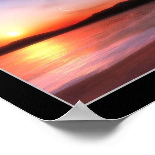 Euphoria Poster (Hoek)