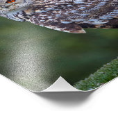 Eurasian Eagle Owl Print Foto Afdruk (Hoek)