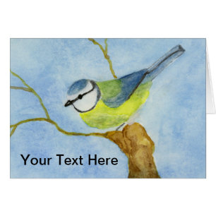 Eurasion Blue Tit