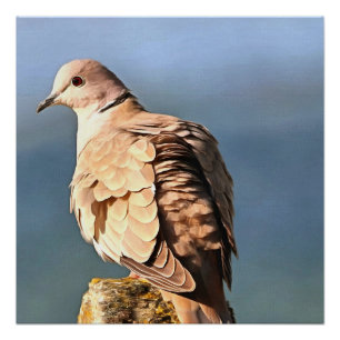 Euraziatische Collared Dove Wildlife Art Perfect Poster