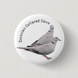 Euraziatische gekleurde hond ronde button 3,2 cm