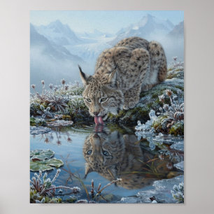 Euraziatische Lynx Drinkt Glaciaal Vijverwater Ref Poster
