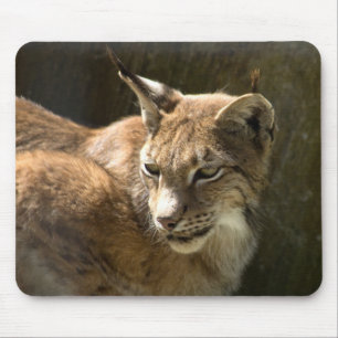 Euraziatische Lynx Muismat