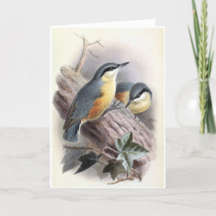 Euraziatische Nuthatch - Vogel Kaart