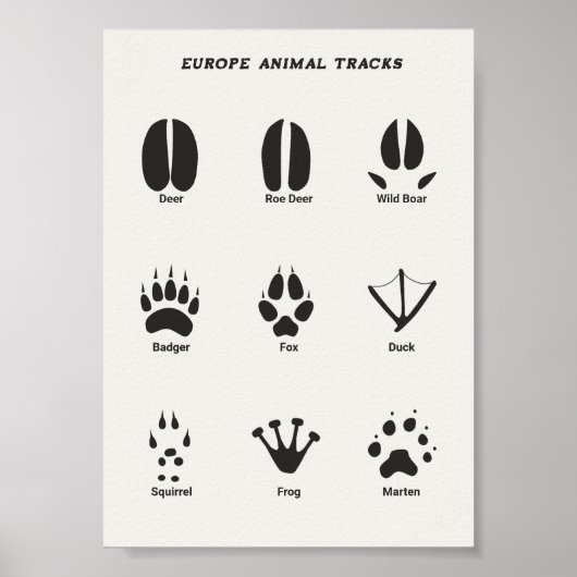 Europa Dierentracks Vastgesteld Poster (Voorkant)