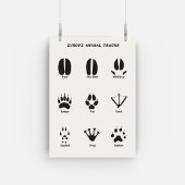 Europa Dierentracks Vastgesteld Poster