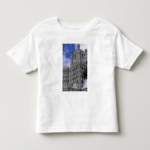 Europa, Engeland, Cambridgeshire, Ely. Ely Kinder Shirts
