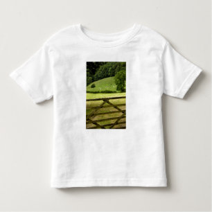 Europa, Engeland, Lake District, Cumbria, Kinder Shirts