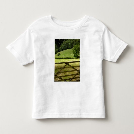 Europa, Engeland, Lake District, Cumbria, Kinder Shirts (Voorkant)