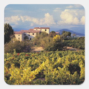 Europa, Frankrijk, Bonnieux. De wijngaarden bestri Vierkante Sticker