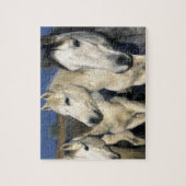 Europa, Frankrijk, Ile del la Camargue. Camargue 3 Legpuzzel (Verticaal)