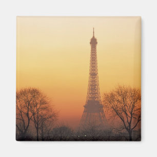 Europa, Frankrijk, Parijs. Eiffeltoren (Midden Magneet