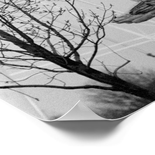 Europa, Frankrijk, Parijs. Statue en Ferris Wheel Poster (Hoek)