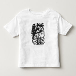 Europa, Frankrijk, Parijs. Winterbomen, Marco Kinder Shirts