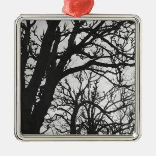 Europa, Frankrijk, Parijs. Winterbomen, Marco Metalen Ornament