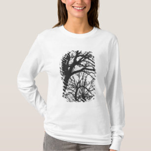 Europa, Frankrijk, Parijs. Winterbomen, Marco T-shirt