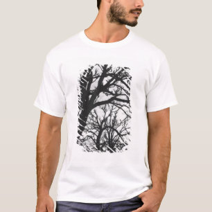 Europa, Frankrijk, Parijs. Winterbomen, Marco T-shirt
