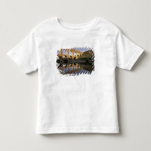 Europa, Frankrijk, Provence, Gard; Pont du Gard, Kinder Shirts
