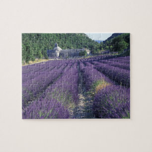 Europa, Frankrijk, Provence. Lavander-velden Legpuzzel