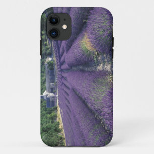 Europa, Frankrijk, Provence. Lavendelvelden iPhone 11 Hoesje