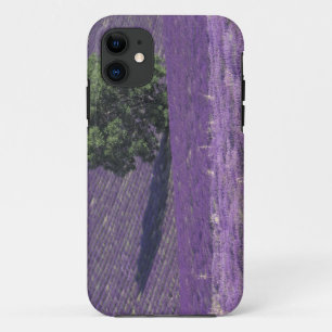 Europa, Frankrijk, Provence, Sault, Lavender-velde iPhone 11 Hoesje