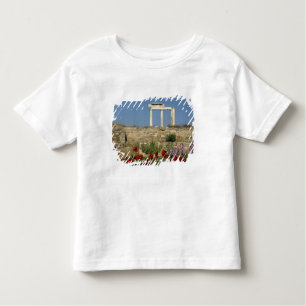 Europa, Griekenland, Cycladen, Delos. Kolomruïne. Kinder Shirts