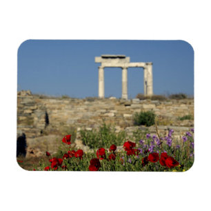 Europa, Griekenland, Cycladen, Delos. Zuilen ruïne Magneet