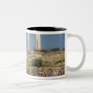 Europa, Griekenland, Cycladen, Delos. Zuilen ruïne Tweekleurige Koffiemok