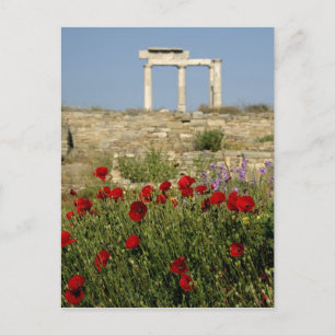 Europa, Griekenland, Cycladen, Delos. Zuilruïnes. Briefkaart