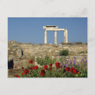 Europa, Griekenland, Cycladen, Delos. Zuilruïnes. Briefkaart