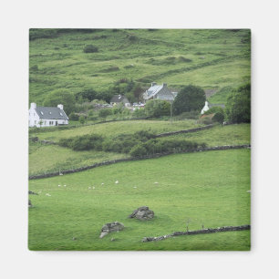 Europa, Ierland, County Kerry, Ring of Kerry. Magneet