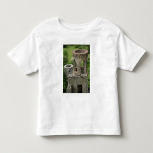 Europa, Ierland, Kasteel van Blarney. DEZE AFBEELD Kinder Shirts